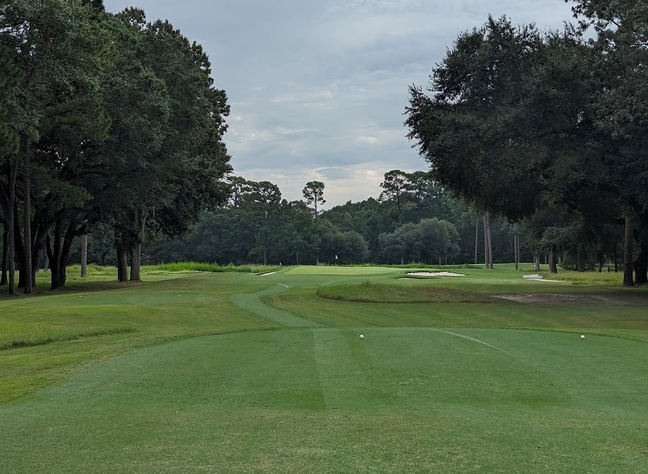 A photo of Chechessee Creek Club from the second hole.
