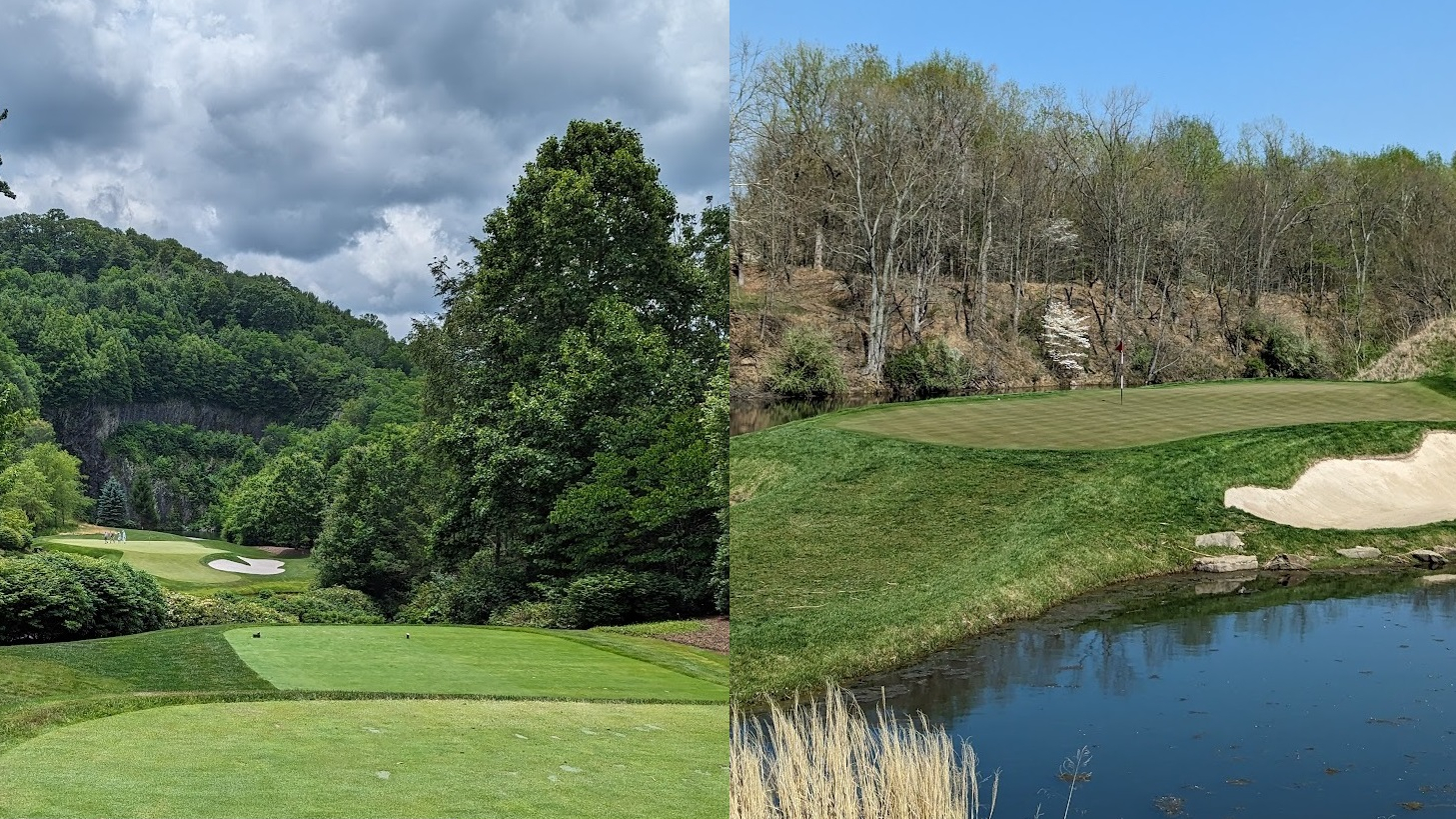Compare and Contrast: Diamond Creek & Victoria National