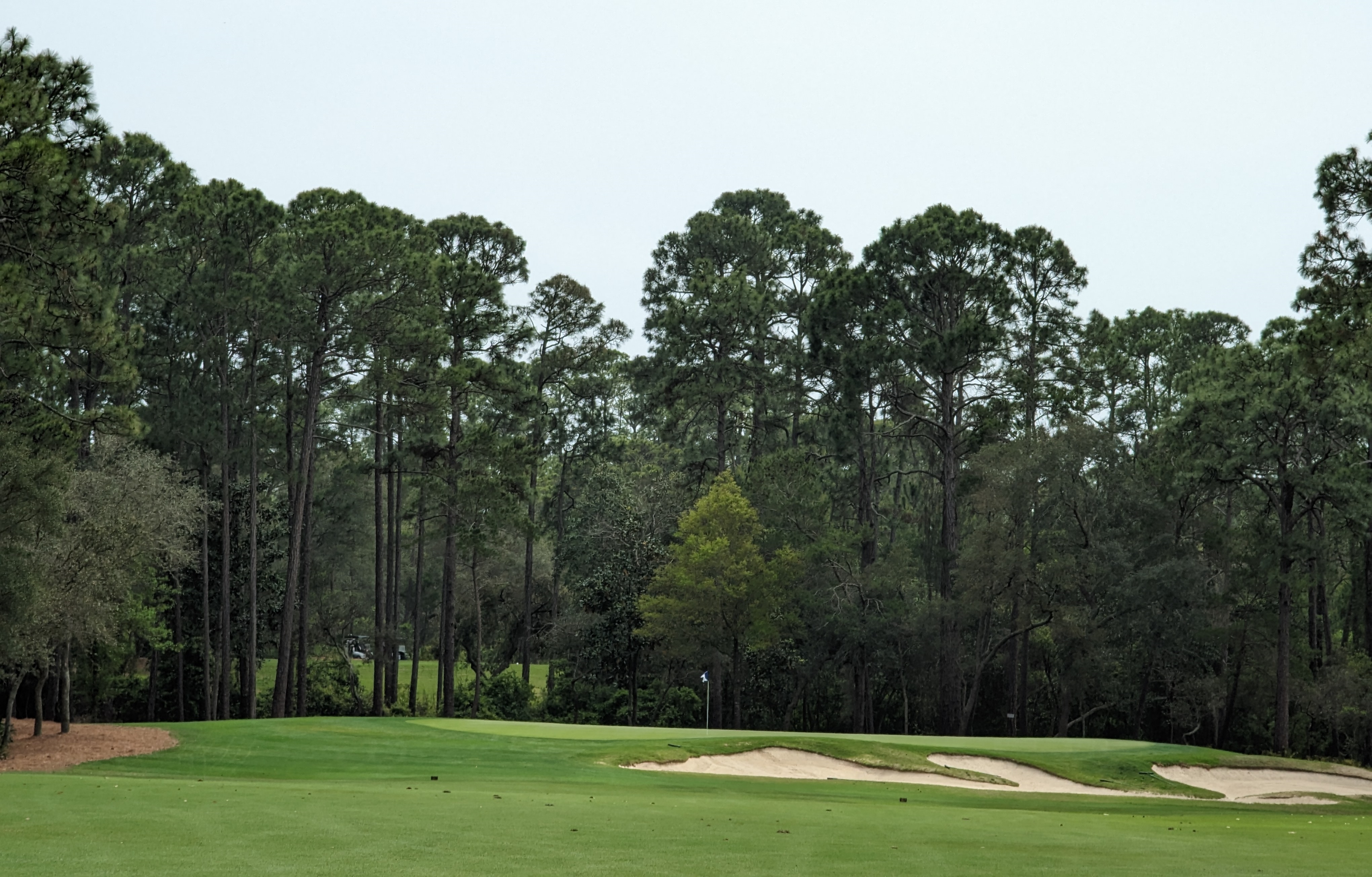 A photo of Shark's Tooth Golf Course from the twelfth hole
