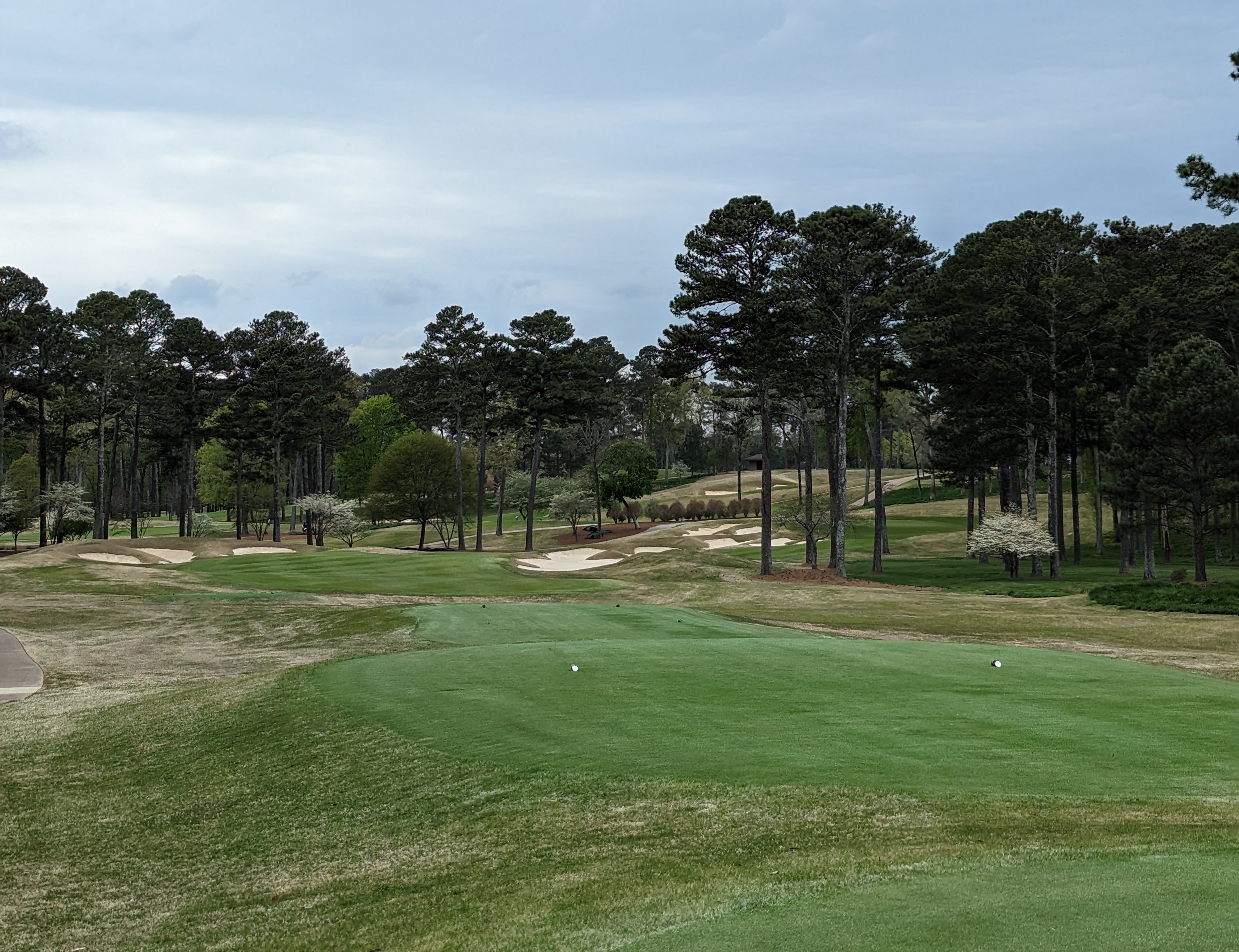 A picture of Atlanta Athletic Club from the fourteenth hole.