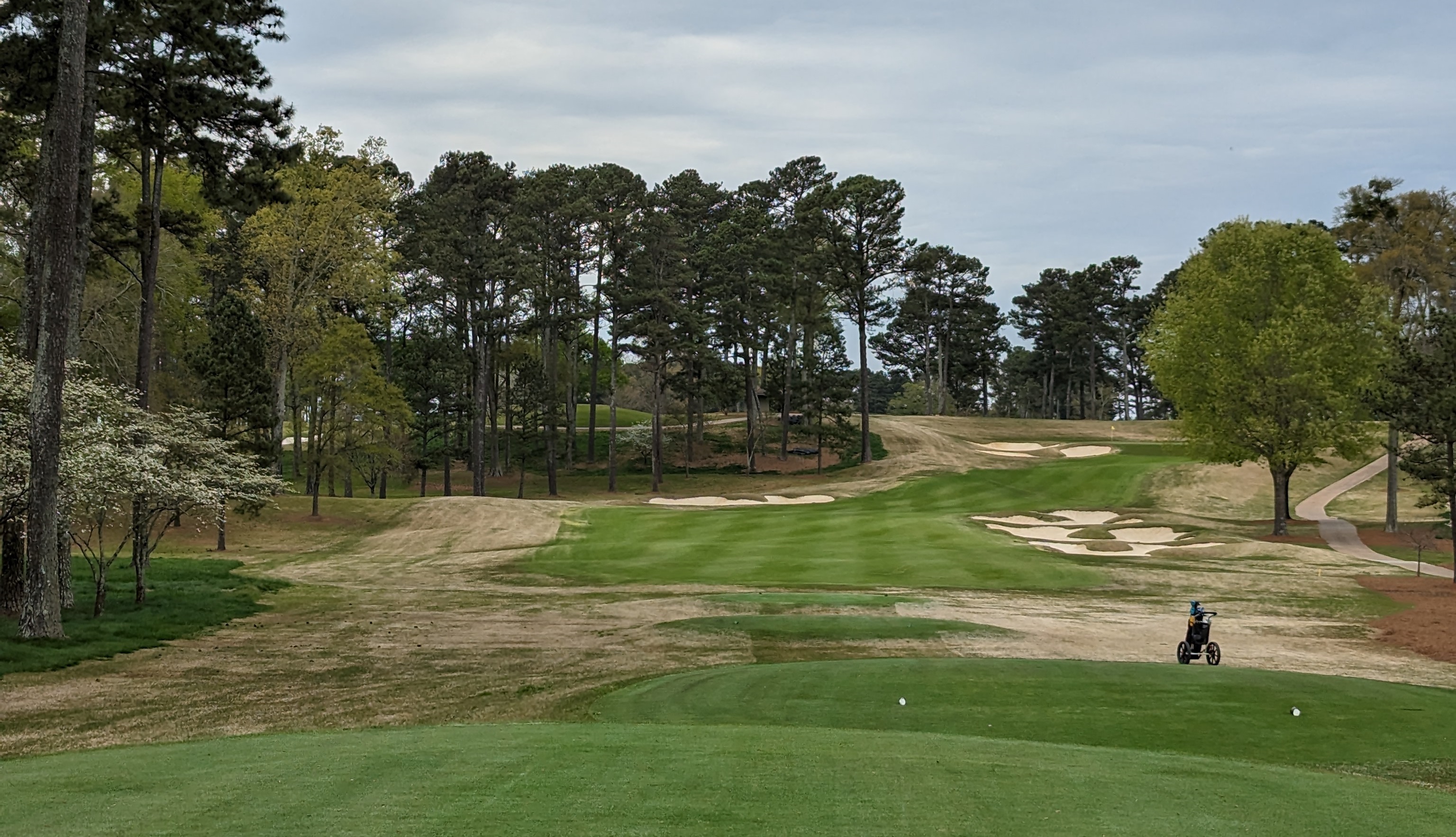 A photo of Atlanta Athletic Club from the sixteenth hole.