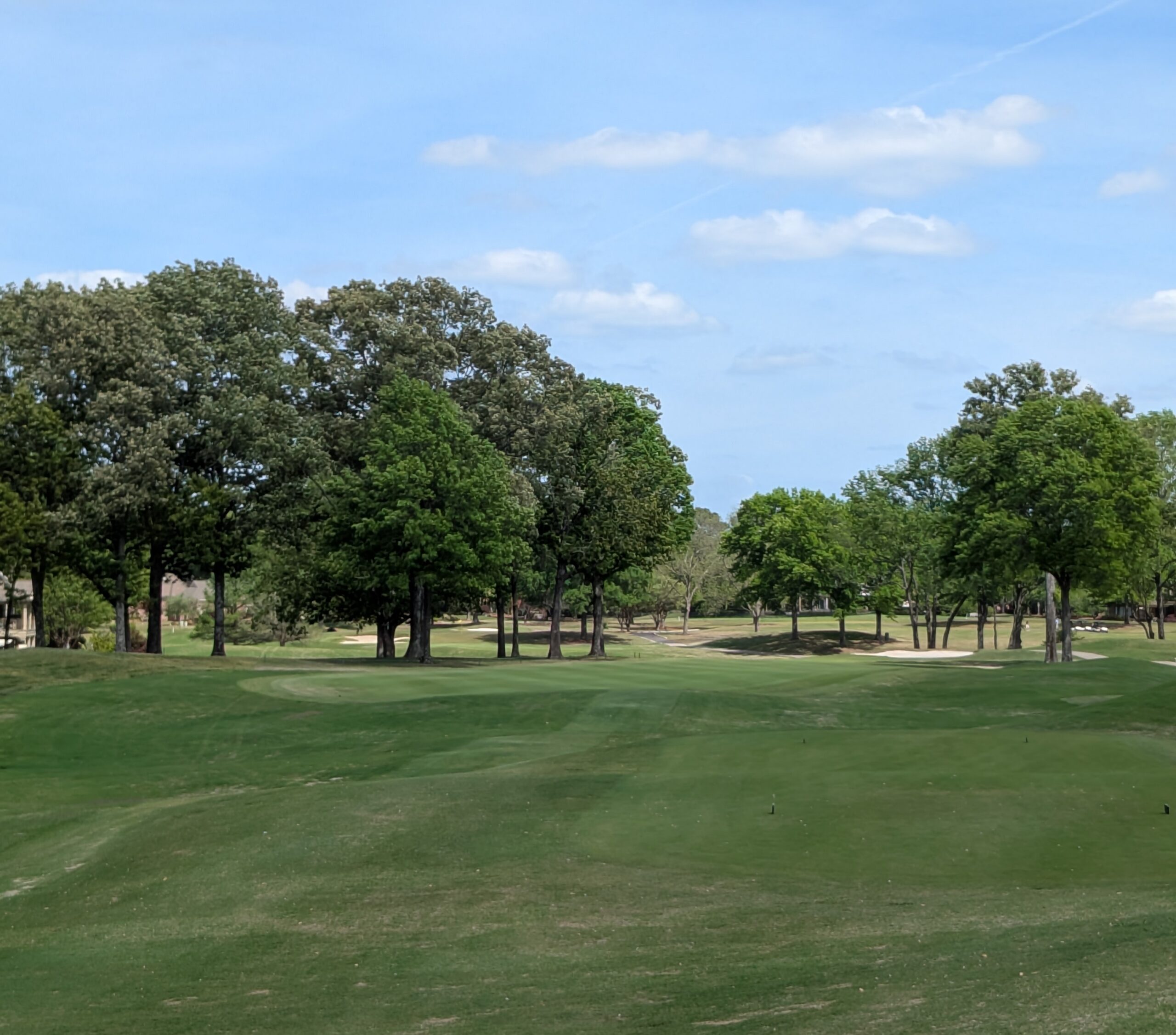 The tee shot at the tenth hole at TPC Southwind