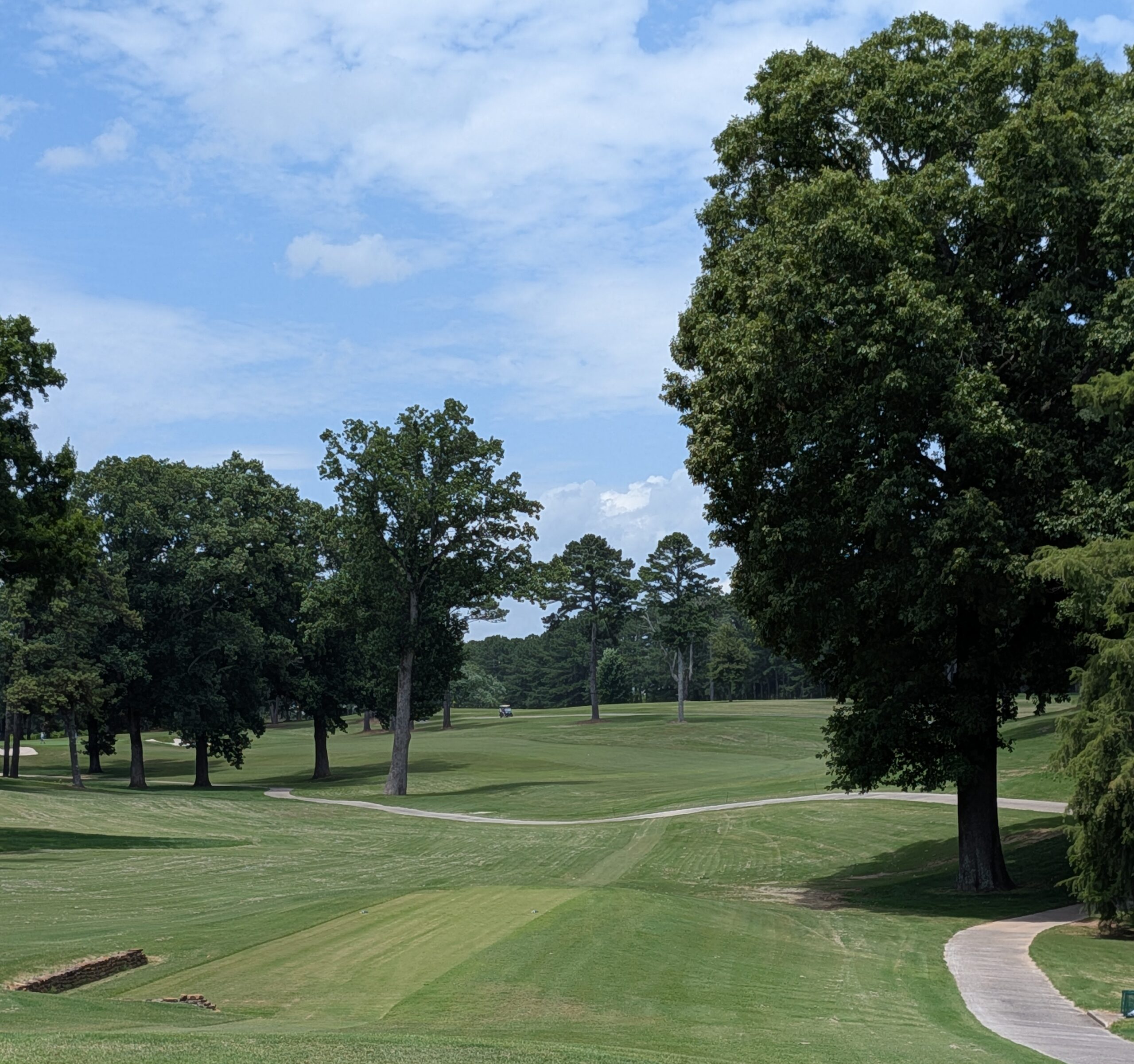 The sixth hole at Turtle Point Yacht & Country Club