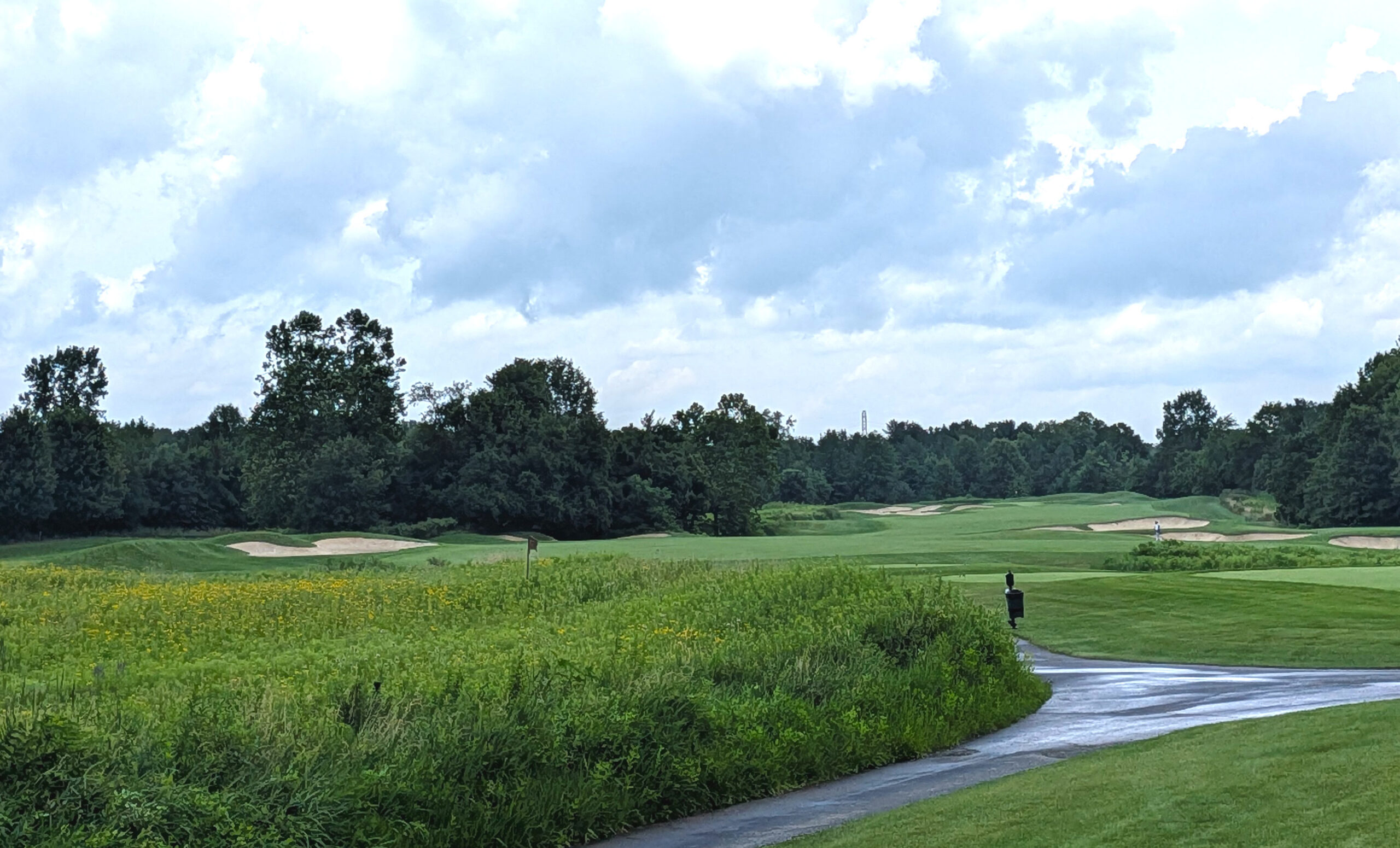 The tee shot at the second hole at Double Eagle Club