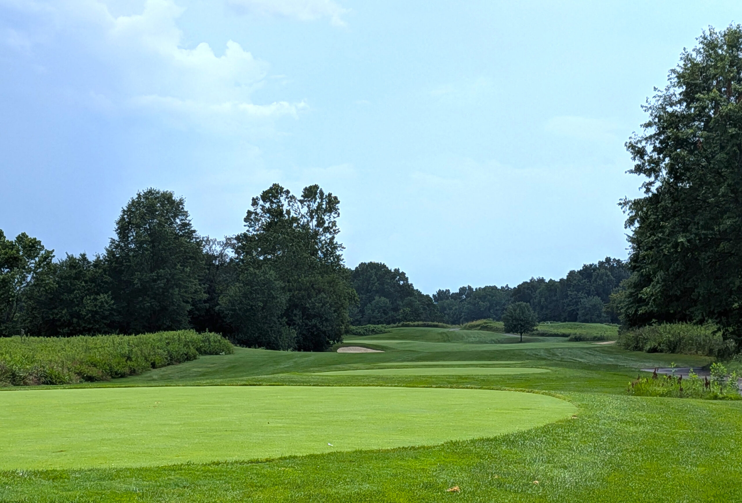 The tee shot at the third hole at Double Eagle Club