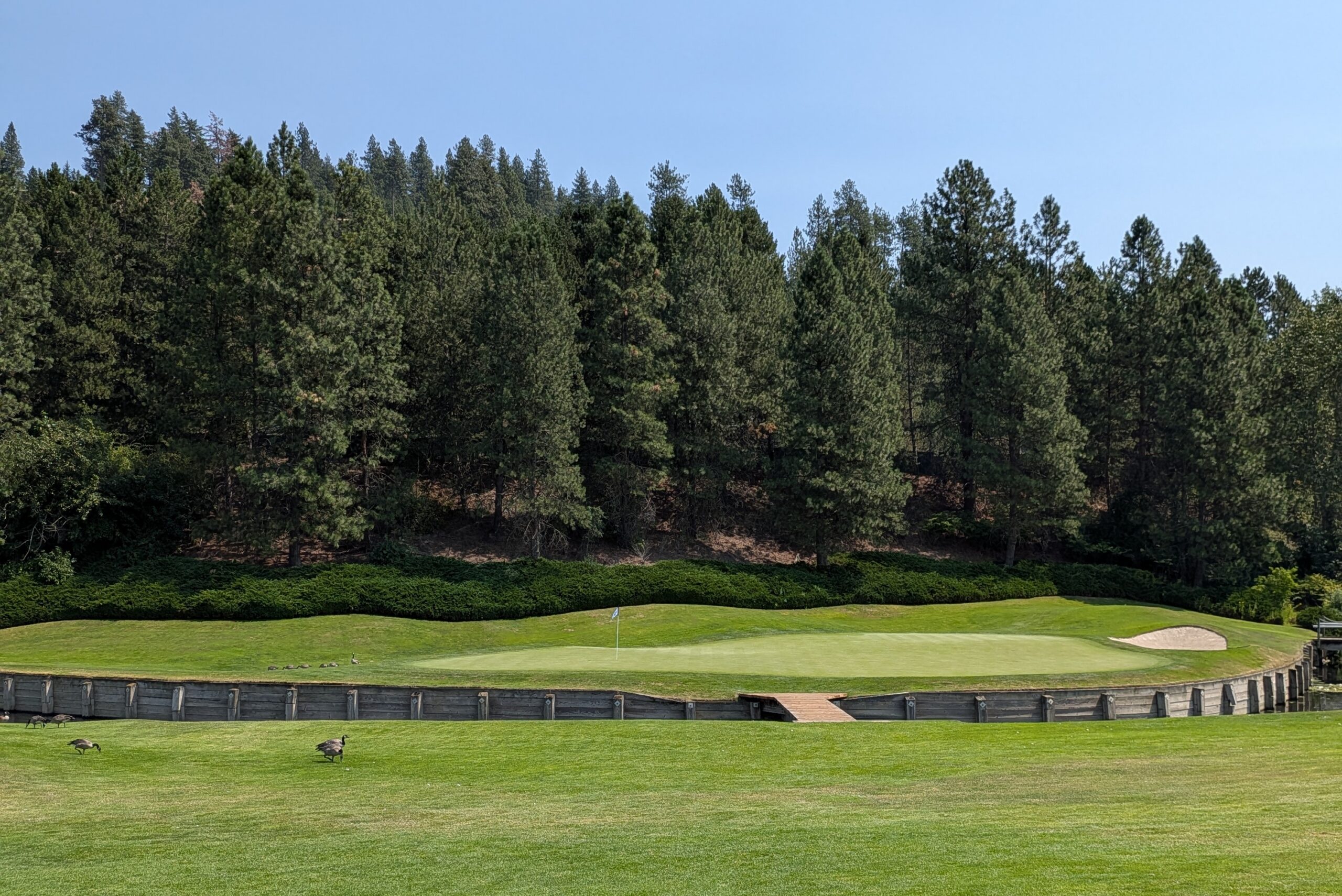The eleventh hole at Coeur D'Alene Resort Golf Course